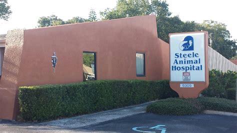 Trusted Care for Your Furry Friends: Steele Animal Hospital in St. Petersburg, FL